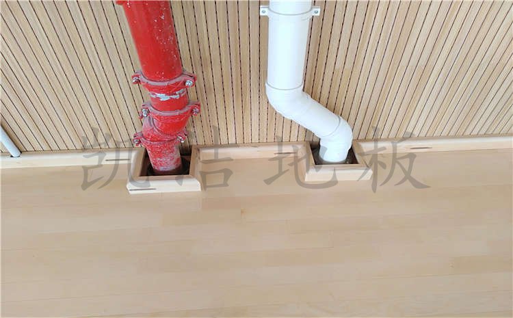 河南南陽市中學(xué)體育館木地板案例圖片